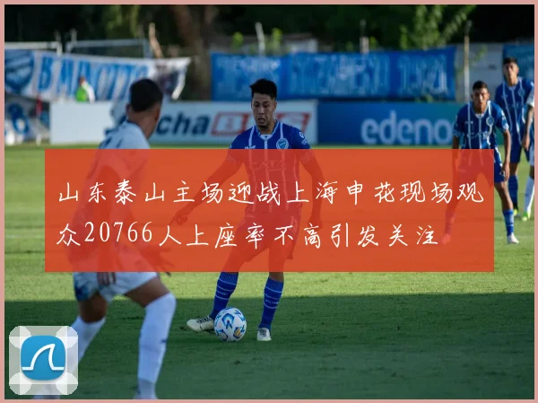 山东泰山主场迎战上海申花现场观众20766人上座率不高引发关注