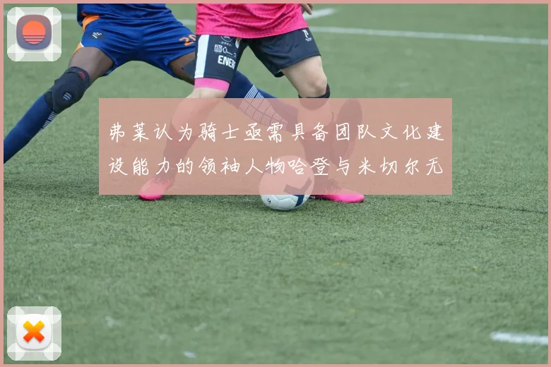 弗莱认为骑士亟需具备团队文化建设能力的领袖人物哈登与米切尔无法胜任