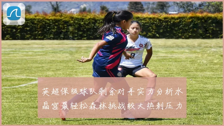 英超保级球队剩余对手实力分析水晶宫最轻松森林挑战较大热刺压力中等